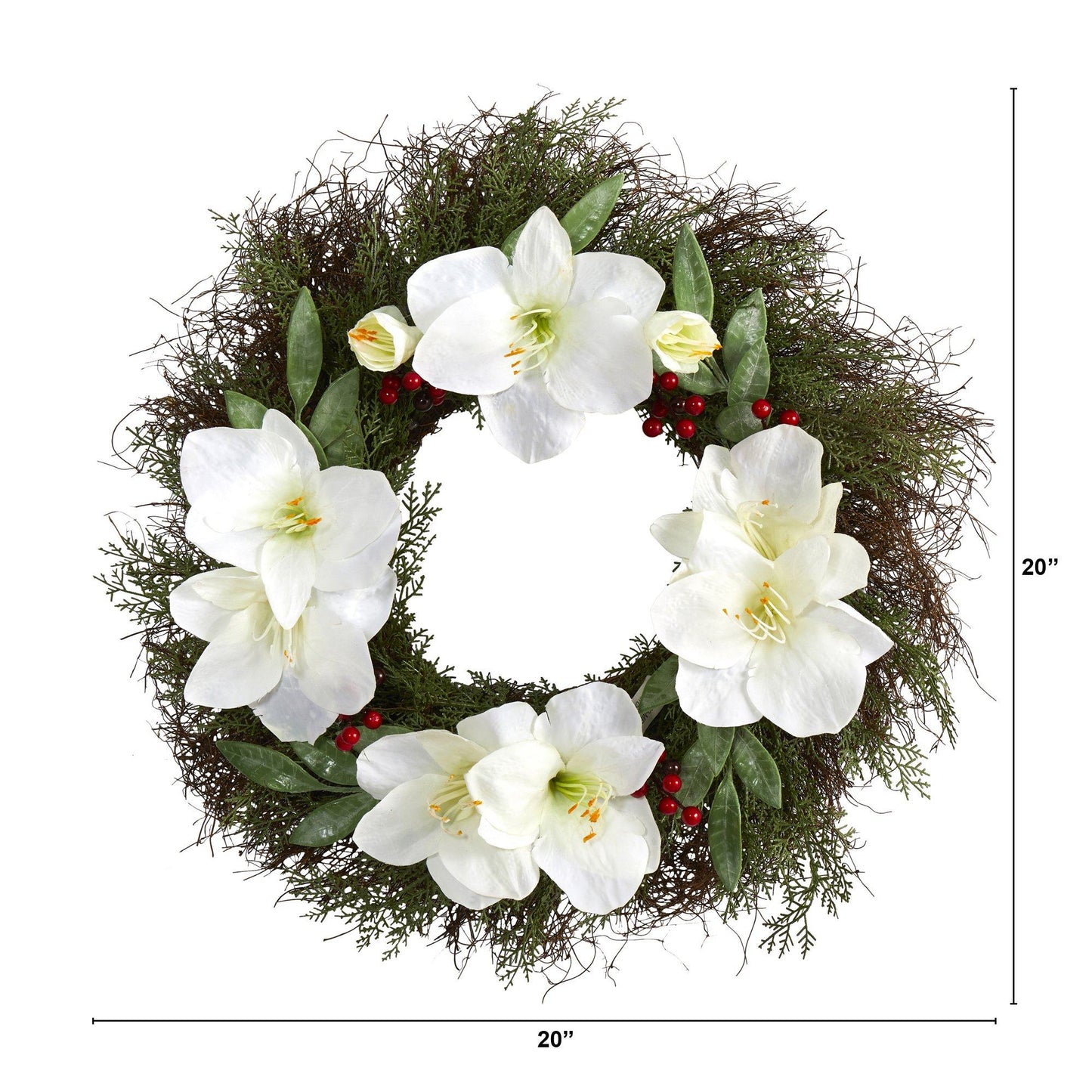 20" Cedar Amaryllis and Ruscus with Berries Wreath
