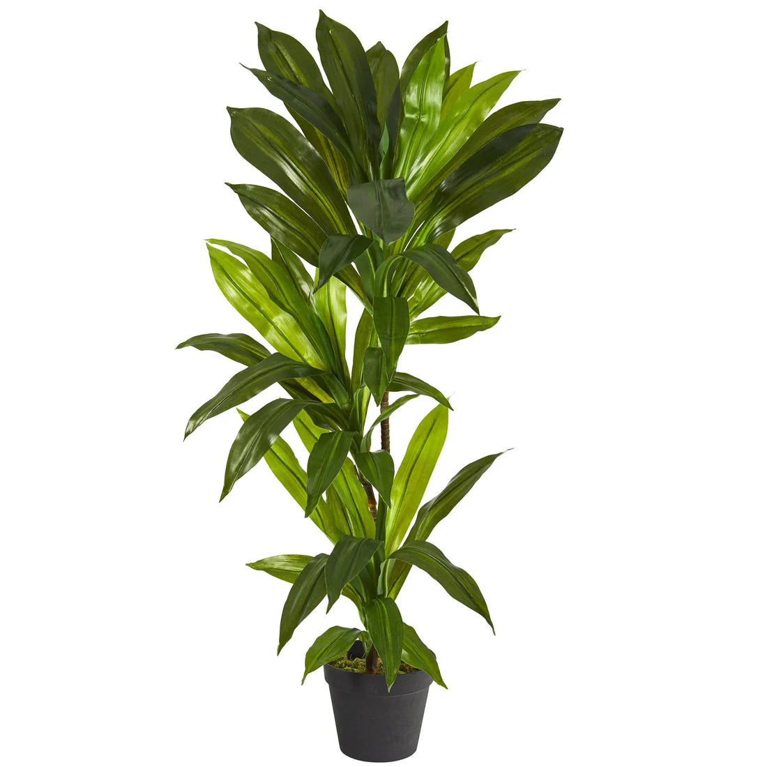 dracaena fleurs 3' Dracaena Artificial Plant (Real Touch) – Fleur Liage