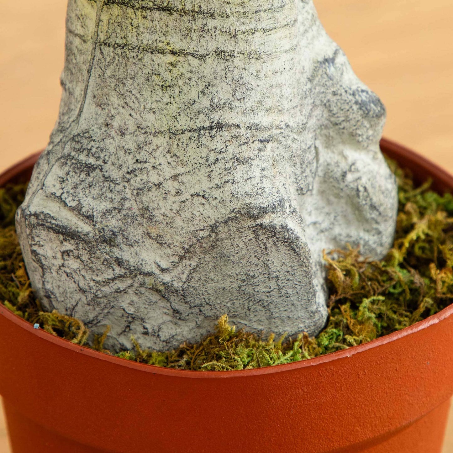 4' Schefflera Tree (Real Touch)