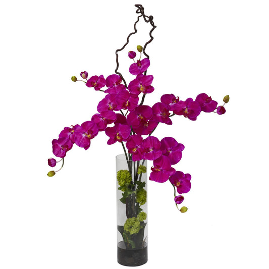 Giant Phalaenopsis & Hydrangea Arrangement Orchid