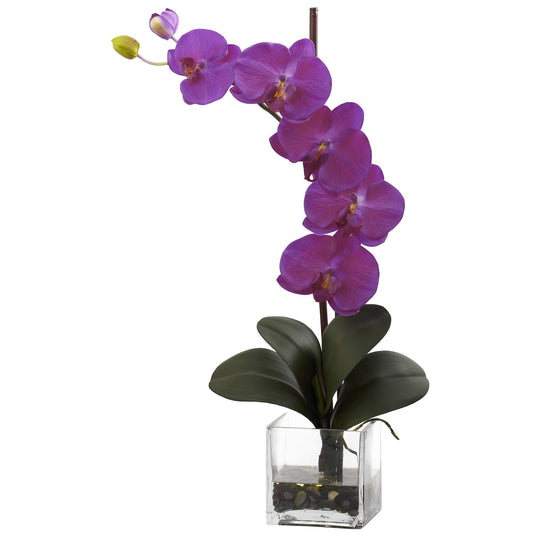 Giant Phal Orchid w/Vase Arrangement Orchid