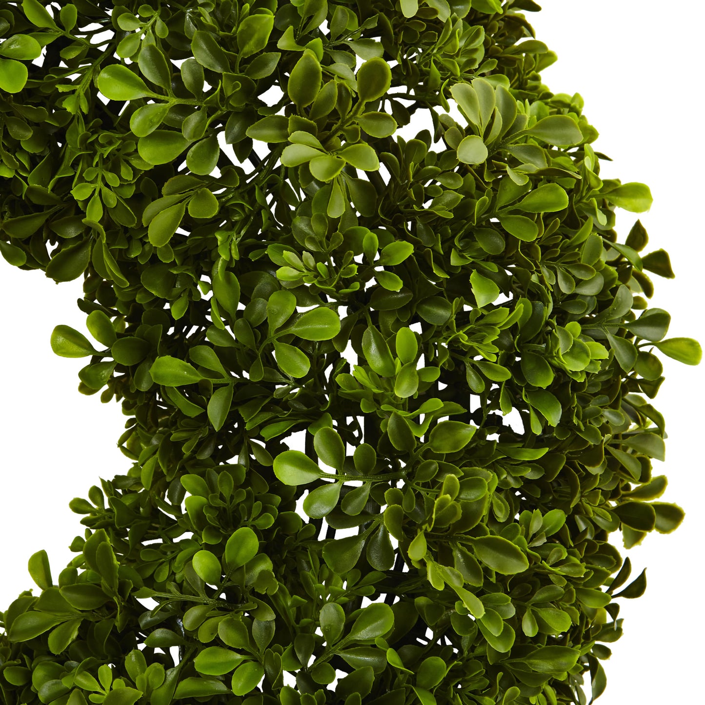 22" Boxwood Wreath