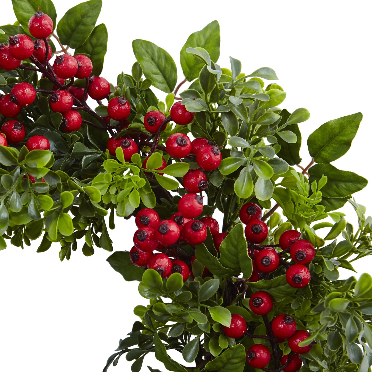 24" Berry Boxwood Wreath