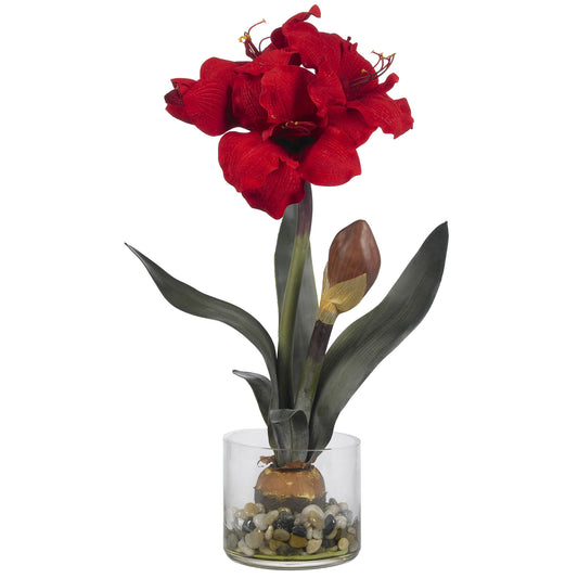 20" Amaryllis w/Vase