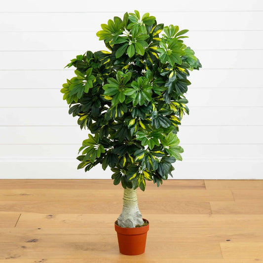 4' Schefflera Tree (Real Touch)