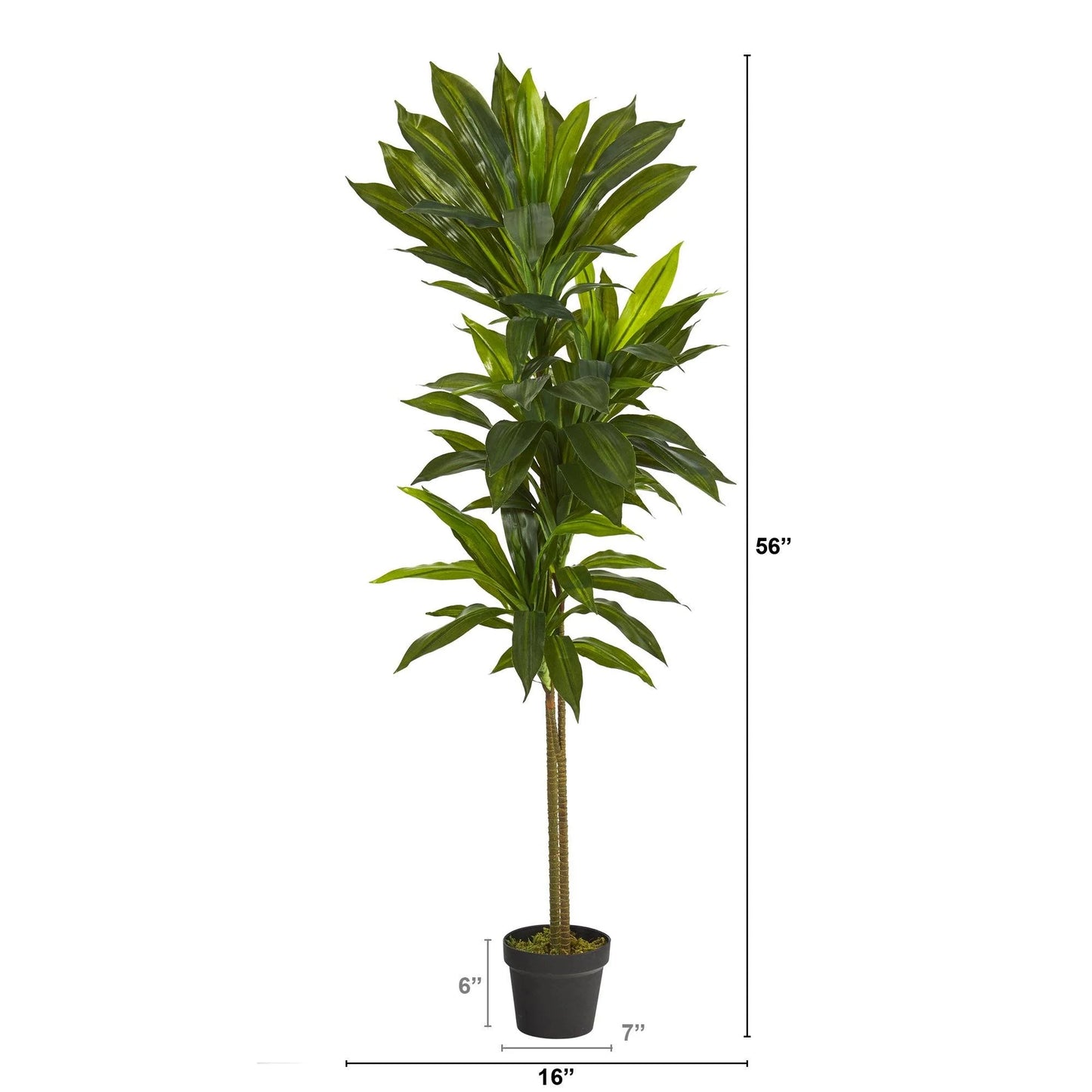 56" Dracaena Artificial Plant (Real Touch)